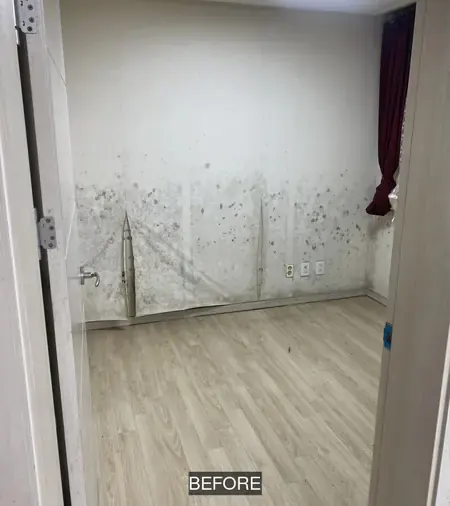 벽면 곰팡이 흔적 전 비교 사진